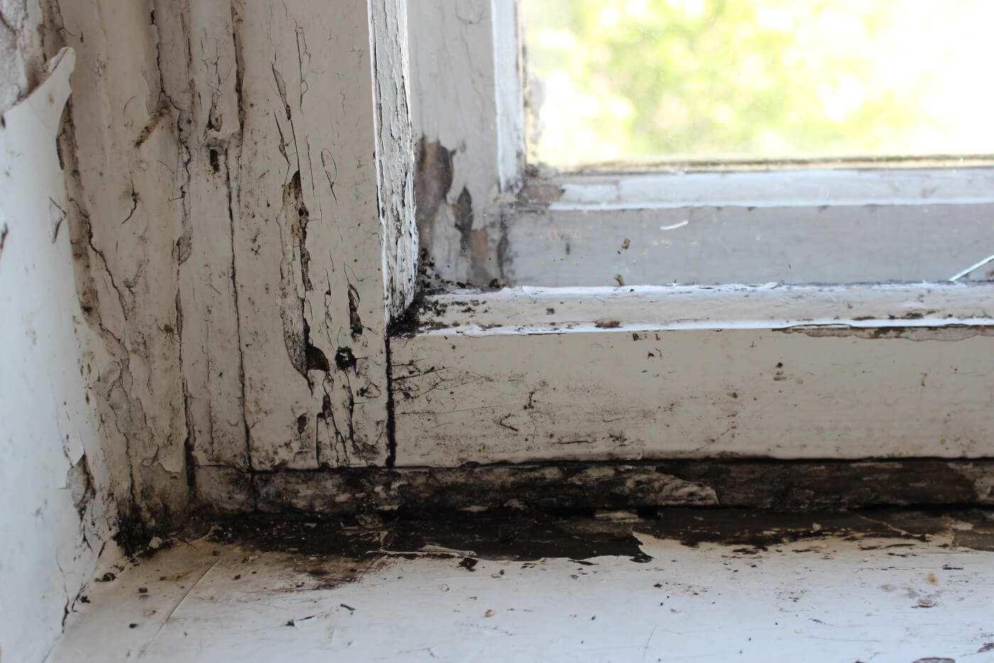 Understanding and addressing the health risks of damp and mould in the home.