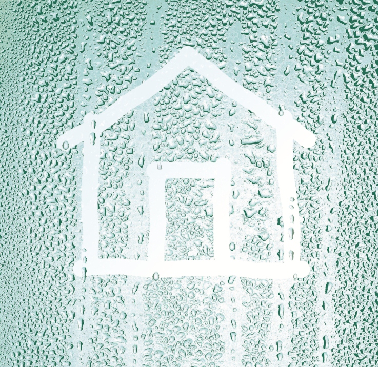 condensation house